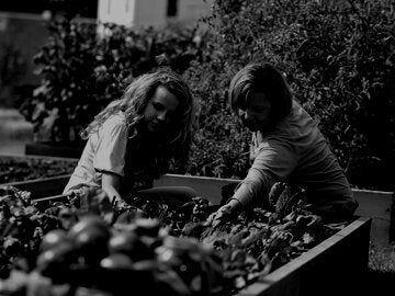Two women working in an urban garden