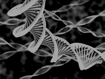 Illuminated DNA Strands