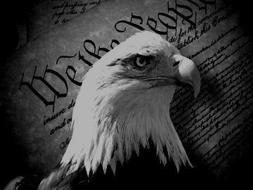 The head of a bald eagle with the declaration of independence in the background.